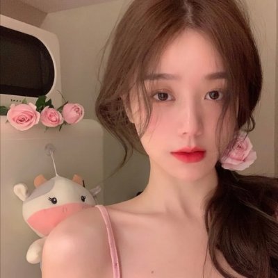 对战美洲狮