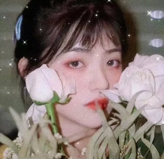 失眠的北风吹来爱情